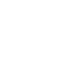 inst